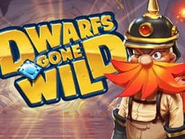 Dwarfs Gone Wild screenshot